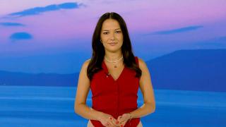 Observator de bine, 27 august 2024. De la anul vom scăpa de cozile de la înmatriculările auto