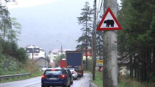 Misterul indicatorului cu urşi apărut în Prahova. Persoana care l-a montat ar putea fi amendată