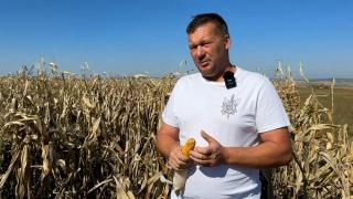 Vladislav a ieşit pe pierdere după ce a investit o avere în agricultură. Principala cauză: "Ca acum nu a fost niciodată"