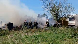 Incendiu cumplit în Timişoara. Doi cai au murit arşi de vii după ce grajdul în care se aflau a fost înghiţit de flăcări