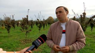 Fructul pe care Paul a pariat 15.000 de euro, toate economiile sale. Vinde acum un kilogram cu 20 de lei