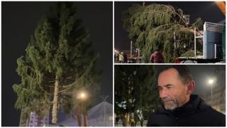 Anul acesta, "bradul" de Crăciun din Suceava va fi un molid falnic de 20 de metri. Când se aprind luminiţele în oraş