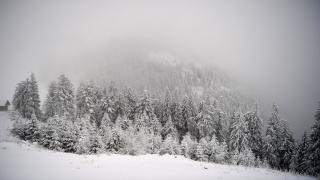 Meteo: România, sub un val de aer rece, cu ploi şi zăpadă. Ce se întâmplă cu vremea la început de iarnă