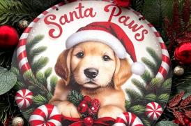 Tramvaiul care te învaţă să faci un bine. La capăt de linie, pe călători îi aşteaptă un adăpost de animale: le pot duce mâncare sau chiar pot lua un căţelus acasă