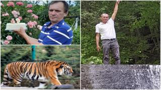Filmul tragediei de la Grădina Zoologică din Piteşti. Un îngrijitor de 52 de ani, sfâşiat de un tigru. Greşeala care l-a costat viaţa