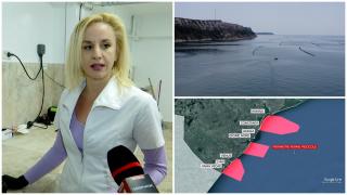 Investiții majore în prima fermă românească de midii din Marea Neagră. Perimetrul de la Agigea, adjudecat pe 20 de ani