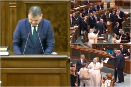 Circ la depunerea jurământului noilor senatori. Diana Şoşoacă a izbucnit, după ce un parlamentar nu a spus numele României