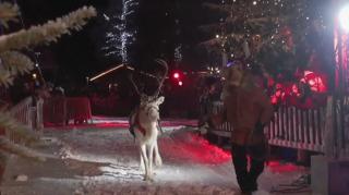 Moş Crăciun şi-a început călătoria în jurul lumii. Ajutoarele lui au dus mâncare caldă familiilor din Congo, rămase fără case