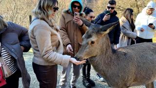 Micul paradis de la poalele munţilor. Reacţia unei turiste care a plătit doar 15 lei pentru o experienţă de vis