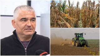 Fermierii anunță dezastrul lăsat în urmă de secetă: cele mai slabe recolte de porumb și floarea soarelui din ultimii 12 ani