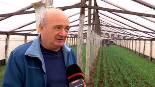 Alimentul care va ajunge mai repede şi mai ieftin pe mesele românilor. Cum a fost posibil: "Nu o să mai scumpim"