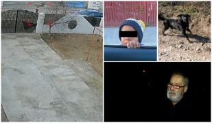 "L-am găsit muşcat de câini". Yannis, copilul dispărut în Craiova, a avut o moarte violentă
