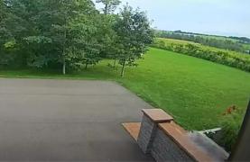 Momentul în care un obiect ciudat se prăbușește în curtea unui cuplu. Nu le-a venit să creadă când s-au uitat pe camera de supraveghere