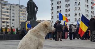 Proteste AUR în marile oraşe. Cei mai vocali protestatari au fost în Bucureşti: traficul pe principalele bulevarde, blocat