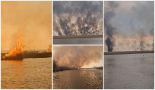 Incendiu violent în Delta Dunării, stins după şase ore.  400 de hectare de vegetaţie uscată au ars