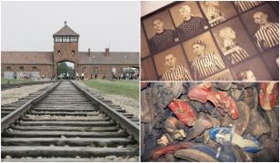 80 de ani de la eliberarea lagărului Auschwitz, fără discursuri politice. Supravieţuitorii, faţă în faţă cu liderii lumii, lângă "Poarta Morţii"