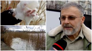 Lacul Siutghiol din Mamaia, acoperit din senin cu un strat gros de spumă. Explicaţia biologilor