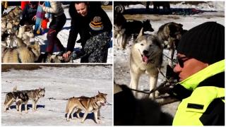 La Harghita Băi, ca în Alaska. Adorabilii husky care au cucerit inimile turiştilor, pe pârtia înzăpezită