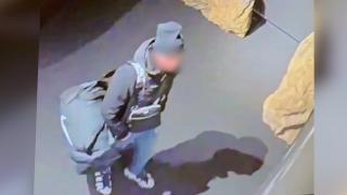 Cine este cel de-al patrulea suspect reţinut în dosarul furtului Coifului de la Coţofăneşti. Poliţiştii olandezi au ridicat mai multe probe dintr-o casă