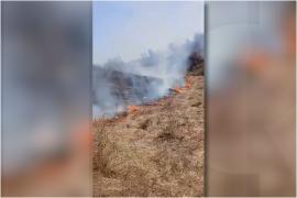 Zeci de incendii de vegetaţie provocate de oameni, pe câmpurile din Maramureş. Ce amenzi riscă sătenii care dau foc resturilor