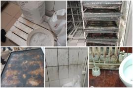 Brutărie din Iaşi, închisă de ANPC. Inspectorii, surprinşi de ce au descoperit: "Gândacii erau eclipsați de șobolani"