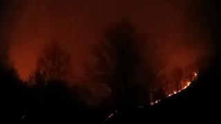 O femeie a ars de vie pe câmp, iar soţul ei a scăpat ca prin minune dintr-un incendiu care a înghiţit totul în cale, în Maramureş