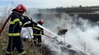10 hectare de vegetaţie au fost înghiţite de foc în Delta Dunării