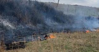 Tren cu 31 de pasageri, oprit în Alba, după un incendiu puternic de vegetaţie