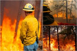 Stare de urgenţă în Carolina de Nord după ce incendiile de vegetaţie au pârjolit sute de hectare de pădure. Locuitorii au fost evacuaţi