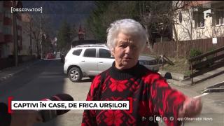 Localnicii din Buşteni, terorizaţi de urşi