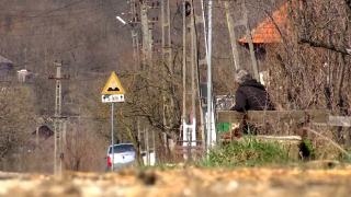 Satul în care de doi ani nu s-a mai născut nicun copil. "Suntem noi, ăștia de 75 de ani"