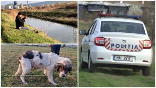 Curajul nebun i-a salvat viaţa unui băiat de 13 ani din Iaşi, urmărit de o haită de dulăi: "Era singura şansă"