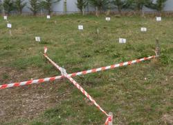 Licitație pentru locuri de veci la preţuri uriaşe, în Sibiu. Oamenii, revoltați: "E scump, scump"