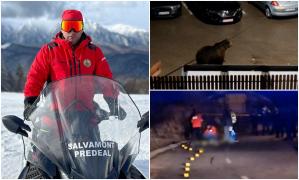 Şeful Salvamont Predeal ar fi suferit un infarct după ce a fost atacat de urs, pe stradă. A mai apucat doar să strige înainte să fie sfâşiat