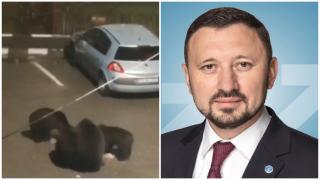 Când va fi gata recensământul urşilor din România. Ministrul Mediului la Observator, despre cele 3 soluţii posibile: "Viaţa omului are prioritate"