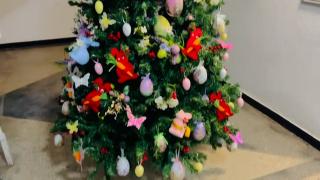 Primul brad de Paşte, împodobit la Constanţa. Povestea din spatele unui gest care a unit oamenii în preajma sărbătorilor pascale