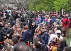 Parcul Herăstrău, plin turişti care au venit să cunoască o altă cultură. Sute de români, prezenţi la Sărbătoarea Cireşilor