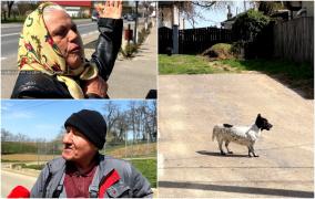 "Taxa pe câine", chiar dacă nu îl ai. Un oraş îşi pune fiecare locuitor să plătească 15 lei