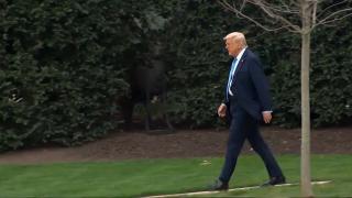 Trump lasă universităţile de elită cu conturile goale: vrea să taie încă miliard de dolari din banii alocaţi pentru Harvard