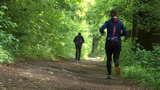 Primul municipiu din România cu o pădure-parc de peste 2.200 de hectare. Trasee suspendate, biciclete și drumeții în aer curat