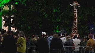 Noaptea Muzeelor 2025. Mii de oameni s-au bucurat de cel mai aşteptat eveniment cultural al anului