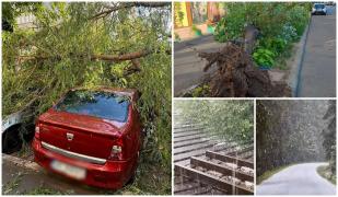 Furtuni puternice şi vânt de peste 100 de kilometri pe oră au făcut prăpăd în ţară. O femeie din Brăila, la un pas de moarte după ce un copac a căzut peste ea