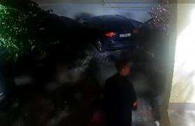 Un tânăr de 15 ani din Cluj, atacat de doi câini când îşi plimba animalul de companie. Câinele adolescentului a murit din cauza rănilor