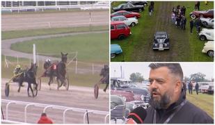 Mașini de epocă și cai de curse, două lumi diferite unite pe hipodromul din Ploieşti