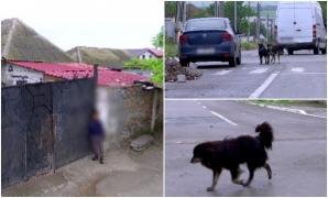 "Noi am crezut că este o păpuşă". Copilaș de 2 ani, atacat de maidanezi pe o stradă din Medgidia. Micuțul se juca în fața curții