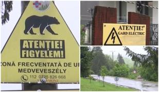 Măsurile luate de autorităţile din trei judeţe împotriva urşilor. Investiţii de aproape 2,6 milioane de lei
