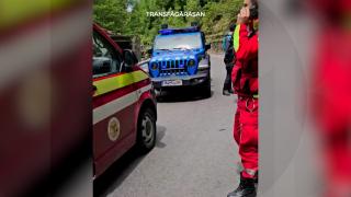 Imagini filmate după ce turistul polonez a fost atacat de ursul pe care voia să îl hrănească