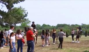Concurs de echitație în Parcul Romanescu din Craiova, după o pauză de 30 de ani