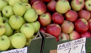 De ce nu găsim mere româneşti la tarabe şi în supermarketuri. "Sunt afectate într-un mod aproape tragic"