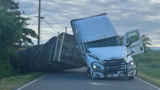 Un TIR cu 250 de milioane de albine s-a răsturnat pe o autostradă din SUA. Apicultorii încearcă să le prindă